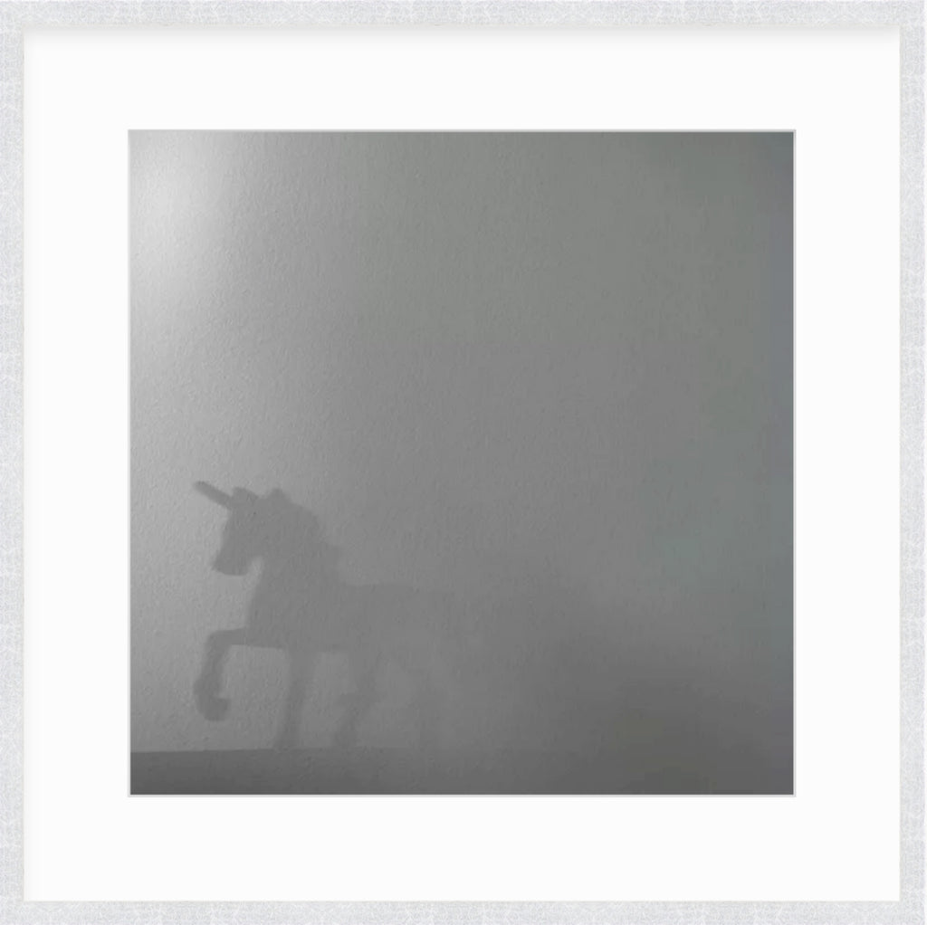 Framed Picture Of A Unicorn Seen Through Fog