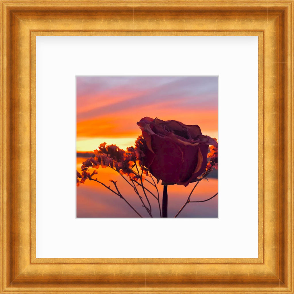 Framed Picture Of A Rose In Front Of A Bright Orange Sunset