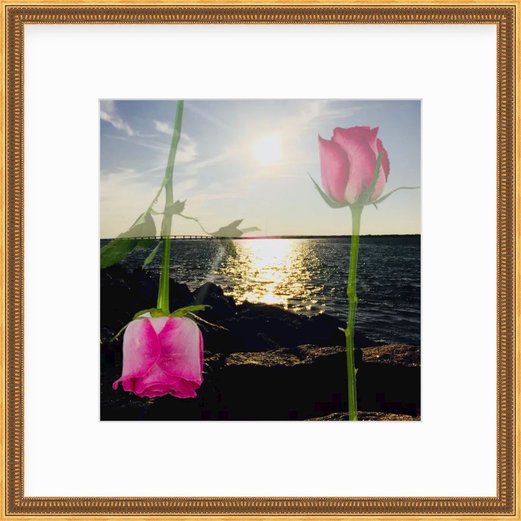Framed Picture Of Faded PInk Roses Overlayed Above A Watery Sunset