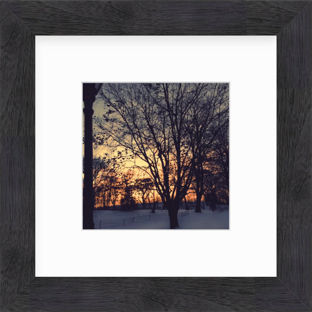 Framed Picture Of A Sunset Behind Snowy Trees