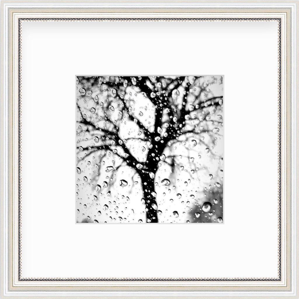 Framed Picture Of A Tree Behind Raindrops On Glass