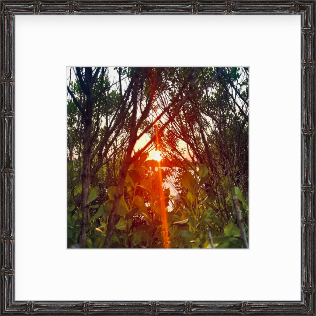 Framed Picture Of A Sunset Peeking Through Leaves