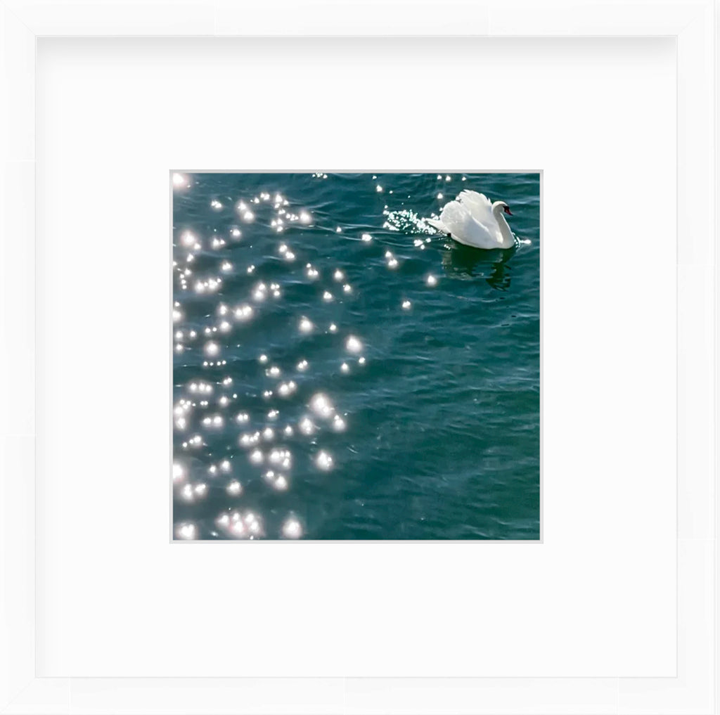 Framed Picture Of A White Goose On Shiny Blue Water