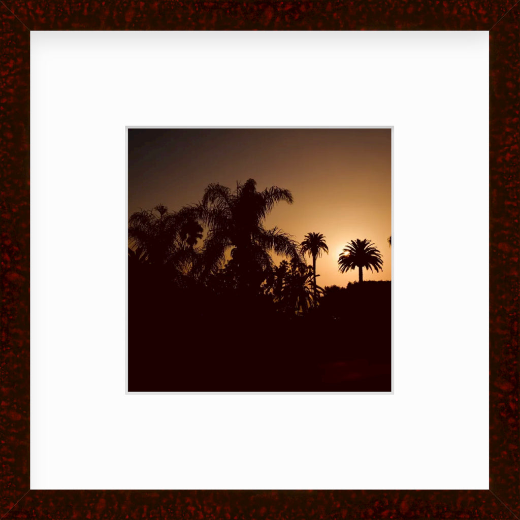 Framed Picture Of A Sunset Behind Palm Trees