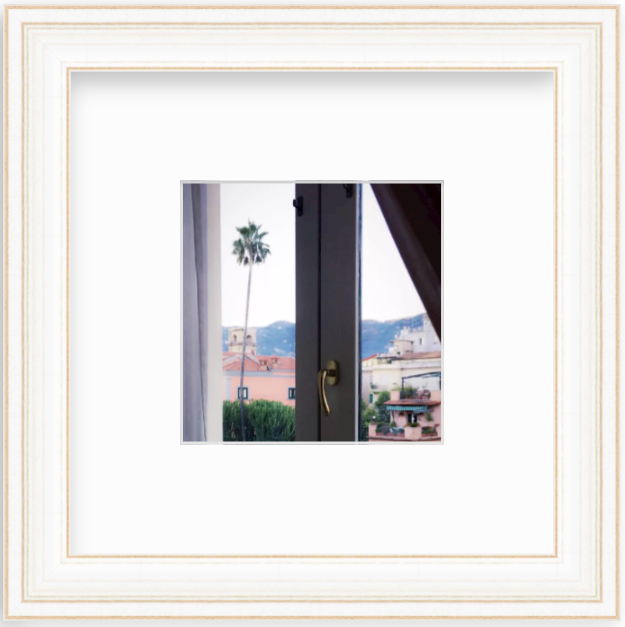 Framed Picture Of A Palm Tree Behind A Glass Door