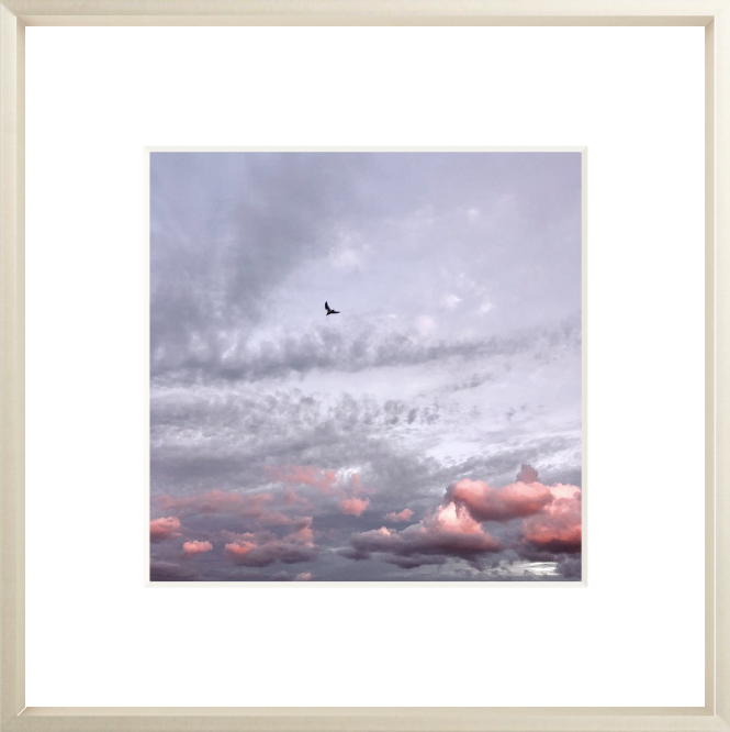 Framed Picture Of A Bird Above Pink Clouds