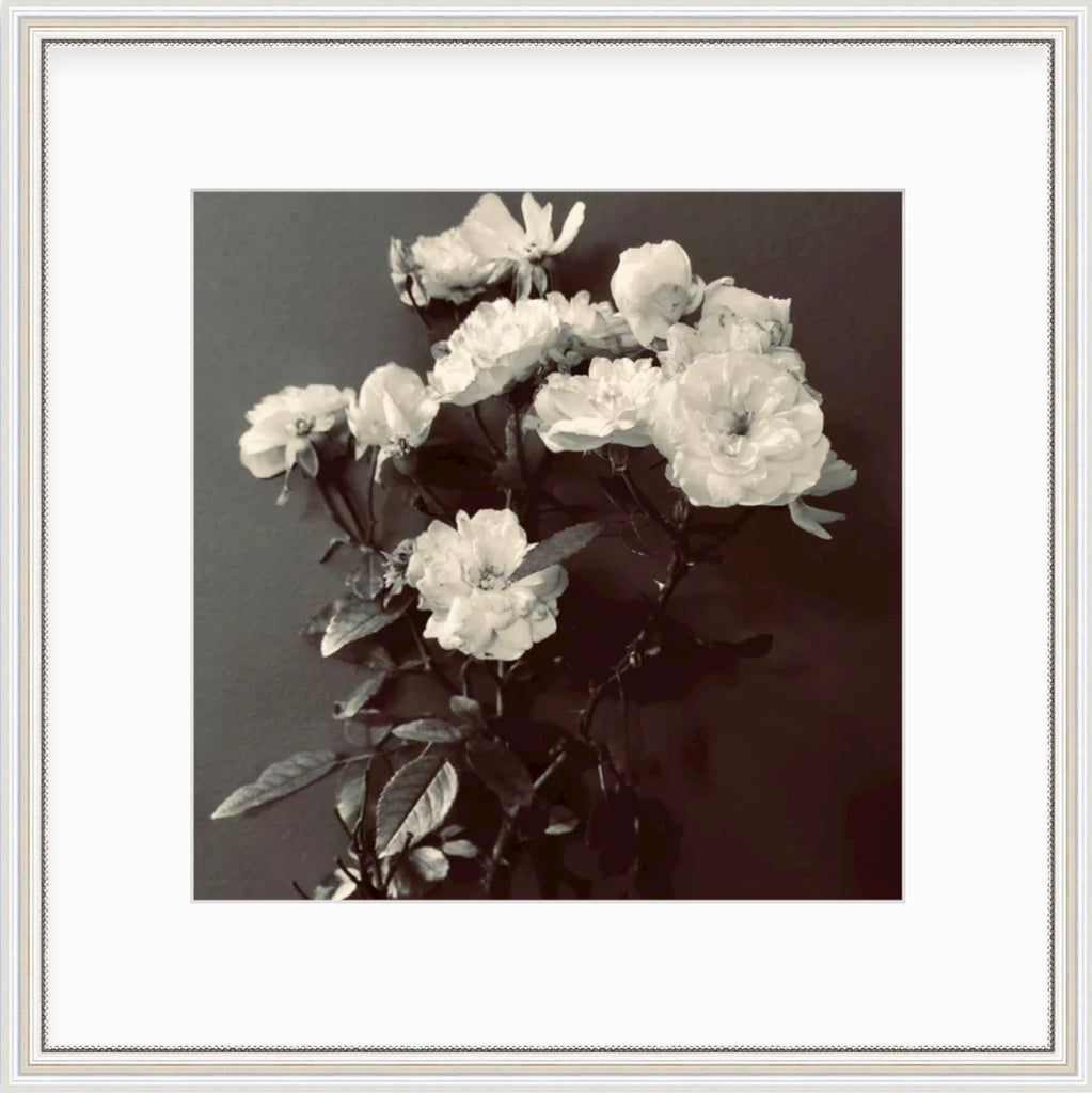 Framed Picture of White Flowers