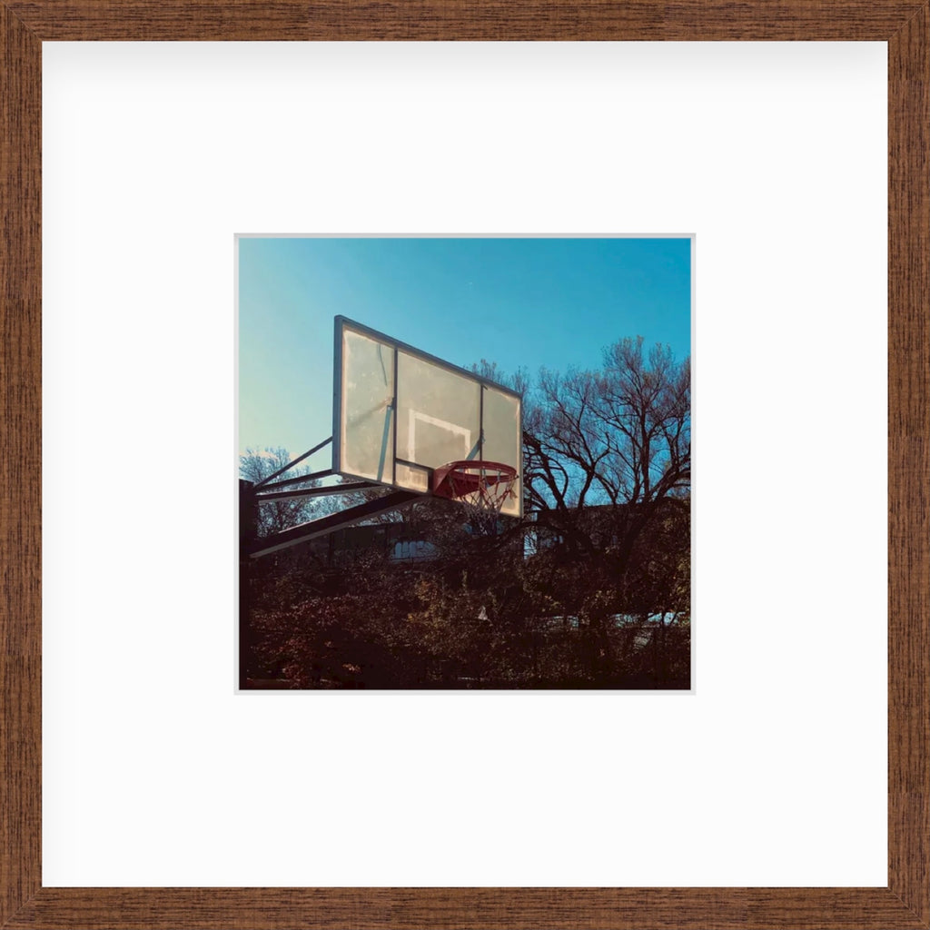 Framed Picture Of A Basketball Hoop In Front OF Trees