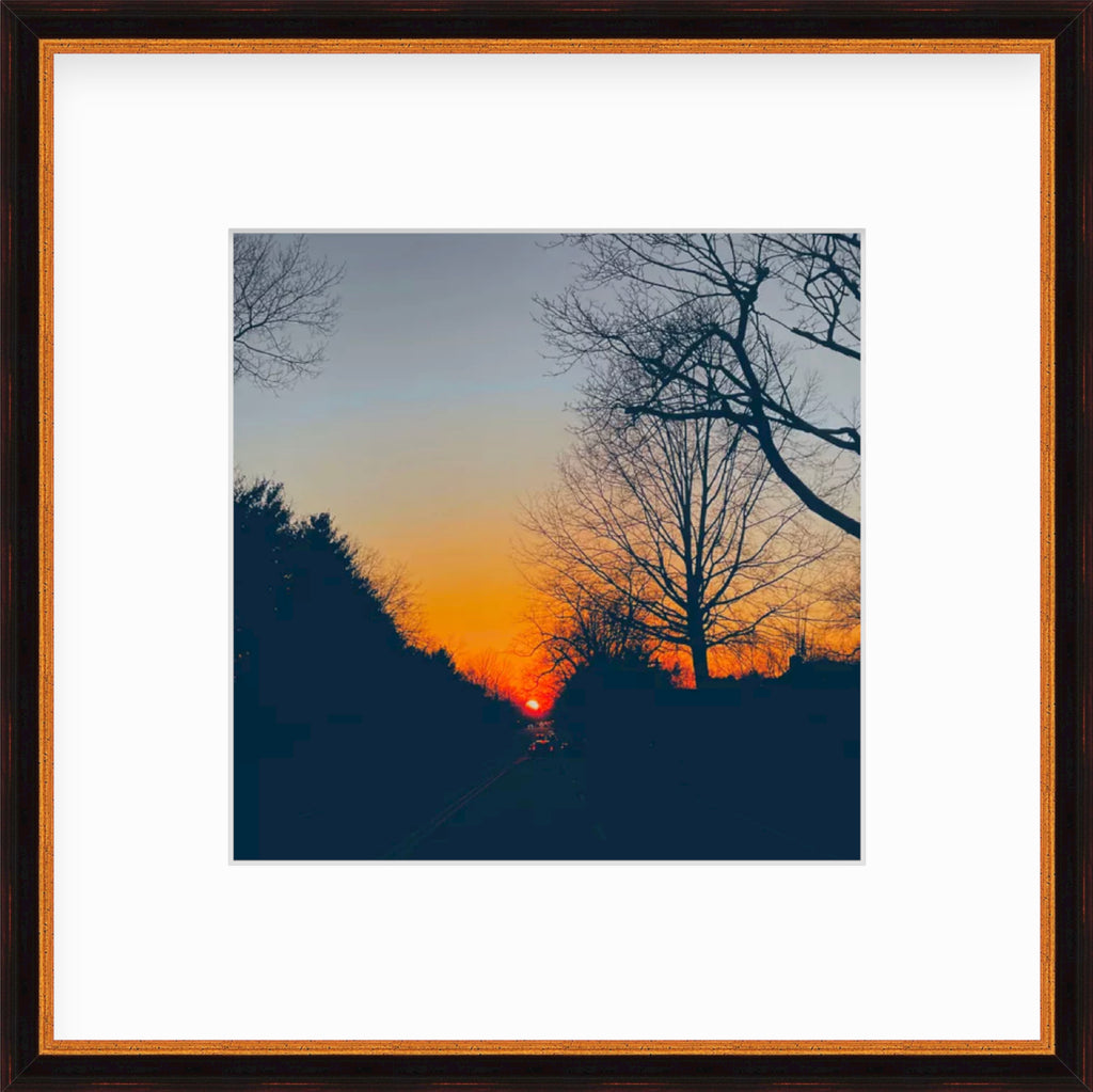 Framed Artwork Of An Orange Sunset Behind Tree Silhouettes