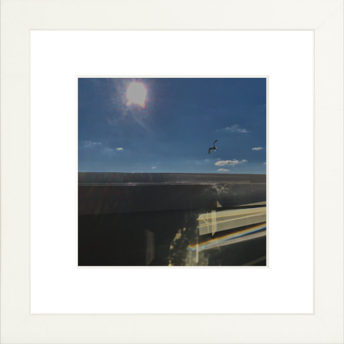 Framed PIcture Of A Seagull Flying Through Blue Sky