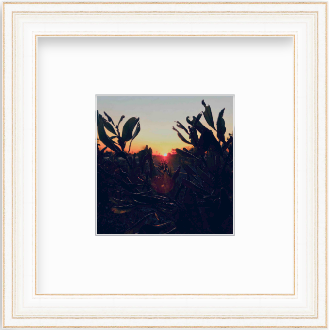 Framed Picture Of A Sunset Behind Leaves